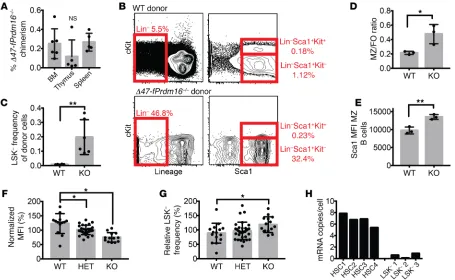Figure 4. sPrdm16Δ8-week-old WT mice (t supports development of an LSK– B cell progenitor