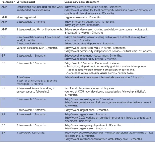 Table 2 Fellows placement experience by profession