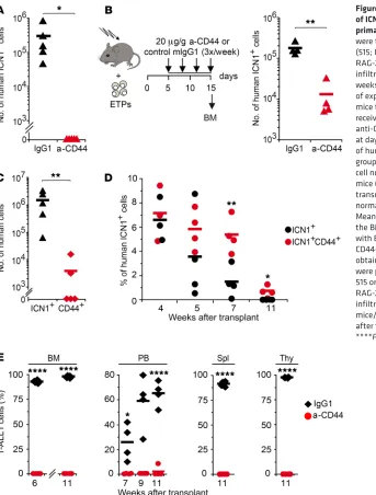 Figure 6. CD44 is essential for BM engraftment of ICN1-induced human preleukemic T cells and group analyzed at day 15 after transplant