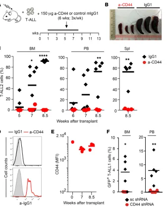 Figure 8. CD44-mediated interaction with the BM microenvironment is required for T-ALL cell 
