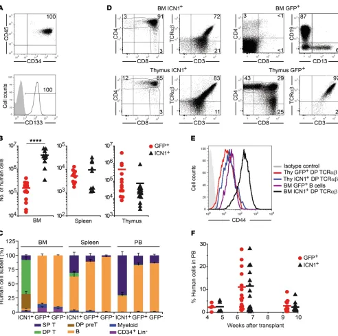 Figure 1. Constitutive NOTCH1 activation boosts BM engraftment of human HSPCs and promotes ectopic T cell development