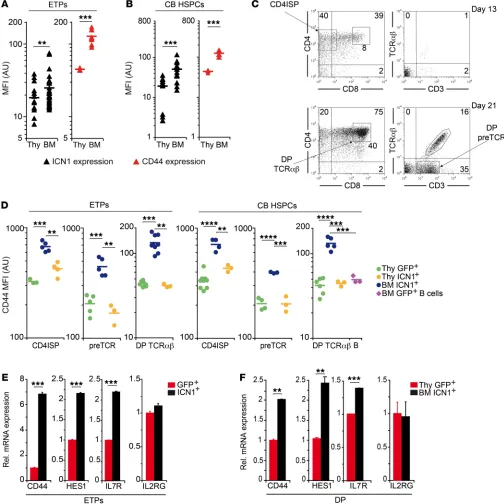Figure 3. CD44 upregulation is an early hallmark of aberrant NOTCH1 signaling and ectopic T cell development