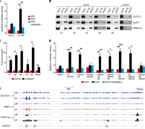 Figure 4. CD44fected with an empty reporter vector (pGL3) and the GFP-only vector (with anti-NOTCH1 Abs (anti-cleaved NOTCH1, for CUTLL1 and HPB-ALL, or anti–C-terminal NOTCH1, for SupT1) or with the corresponding control Ab