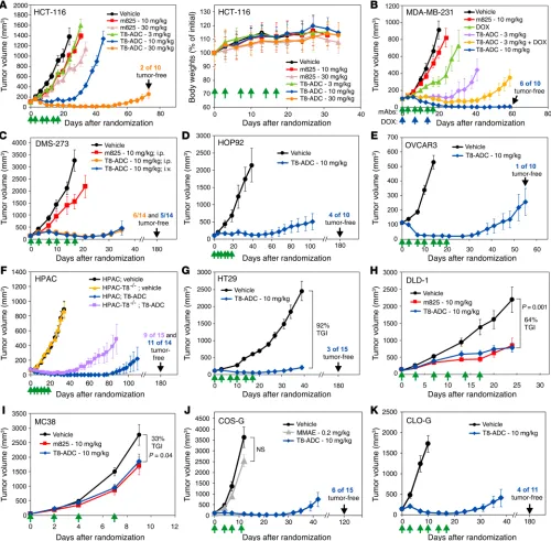 Figure 3. m825-MMAE elicits potent antitumor activity against various tumors, without evidence of toxicities