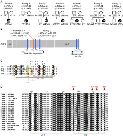 Figure 1. Pedigree analysis in patients with IKZF1individuals are shown in black. Diagonal lines indicate deceased individuals