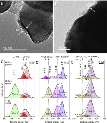 Fig. 7. Cycling performance of various types of LiFePO4-based cathodes at (a) 0.2C and (b) 2C, respectively.
