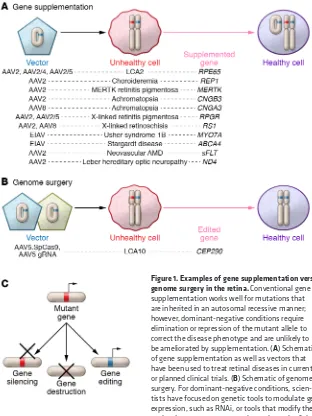Figure 1. Examples of gene supplementation versus genome surgery in the retina.of gene supplementation as well as vectors that have been used to treat retinal diseases in current or planned clinical trials