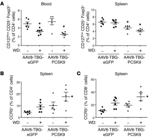 Figure 4. Human regulatory T cells are reduced and CCR5+T cells are increased in PCSK9-WD mice