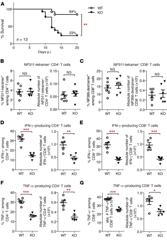 Figure 1. Toso deficiency results in increased mortality and reduced production of inflammato-