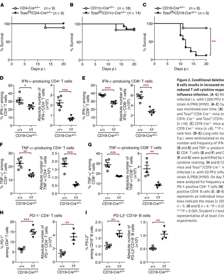 Figure 2. Conditional deletion of Toso in B cells results in increased mortality and 