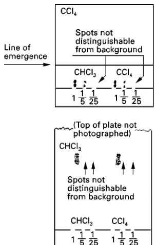 Figure 7Bottom: chromatogram of a conventional develop-considered about optimal. Top: chromatogram of continuous de-velopment on 2.5 cm distance from the solvent level and 1.1 cmfrom the origin on silica gel plate with solvent of lower solventstength, with