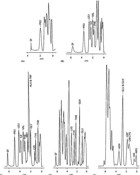Figure 9Chromatograms of PTH-amino acids after multiple development on silica gel plate