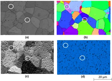 Fig. 10—Evolution of c(¢ after isothermal solutioning at 1373 K (1100 �C) for 90 min followed by water quench for _e ¼ 1 s�1; (a) band contrast,b) inverse pole ﬁgure (IPF), (c) forward scattered electron image, and (d) Cr EDS map.