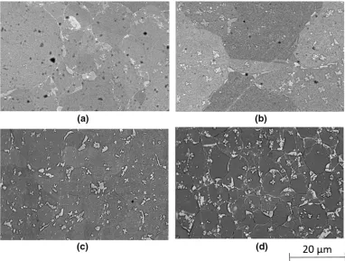 Fig. 12—Backscattered electron images from etched sections (etched with phosphoric acid) corresponding to (aat 1413 K (1140(1100) as-HIP, (b) _e ¼ 0:1 s�1 deformed �C), (c) _e ¼ 1 s�1, (d) _e ¼ 10 s�1 deformed at 1373 K (1100 �C)