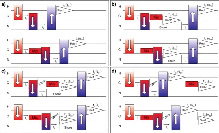 Fig. 1. Generalized pulse sequences for embedded acquisition. Panel (a) shows the polarization transfer pathway for sequential assignment commonly used with a single 1Hreceiver