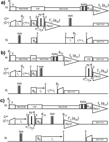 Fig. 2. Two-receiver 2D, 3D hC[C, NH] pulse sequences with longitudinal 13C–13C RFDR mixing