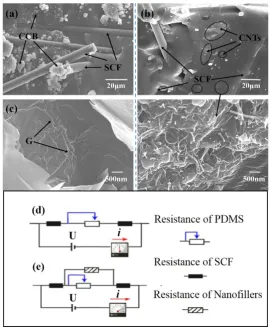 Figure 6 shows the mechanism of the SCFNA process and the structure development of 