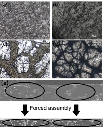Figure 3.Figure 3. Morphology evolution of short carbon fiber network in PDMS: (a) homogeneous dispersion of short carbon fibers in PDMS after melt mixing; (b) a self-assembly network formed during conical twin-screw extrusion; (c) the free assembly networ