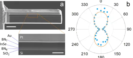 Figure 5:Polarized PL emission from few-layer InSe. (a) Scanning electron micro-graphs of a lamella extracted from hBN/InSe/hBN heterostructure using focused ion beam,attached to a TEM grid