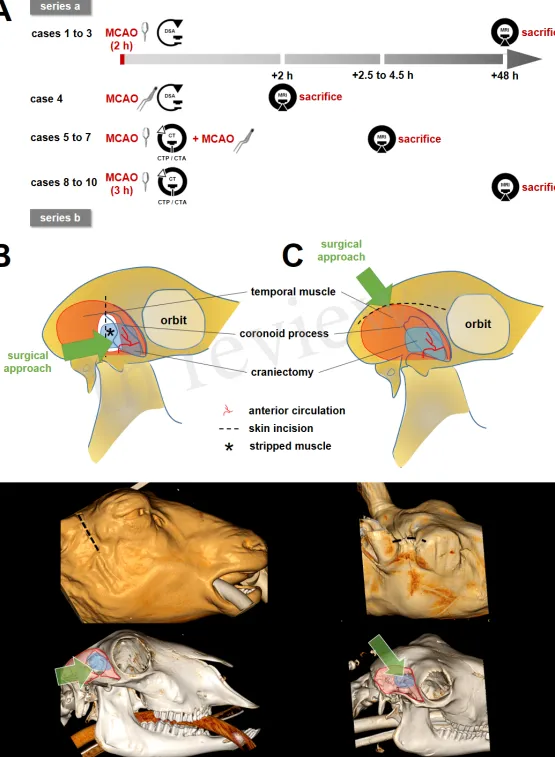 Figure 1.TIF