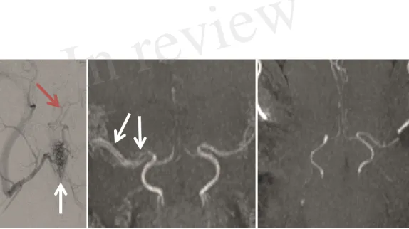 Figure 4.TIF