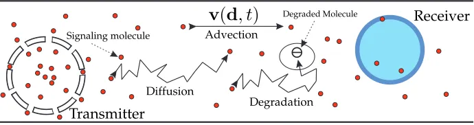 Fig. 6. Schematic presentation of the end-to-end chain of communication in typical diffusive MC systems.