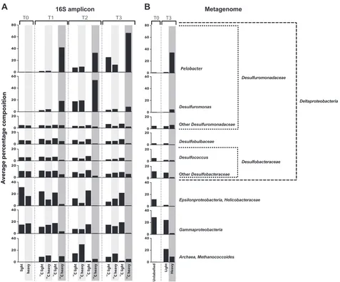 Fig. 3 Relative abundance of the top 9 taxonomically assignments as identiﬁed by similarity percentage analysis (SIMPER)