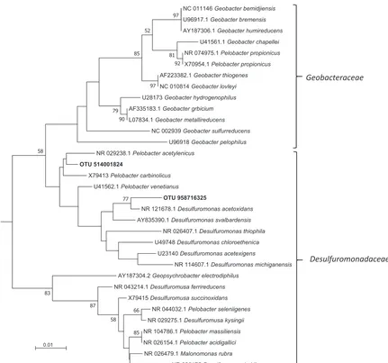 Fig. 4 Neighbour-joining phylogenetic tree of 16S rRNA genes ofDesulfuromonadaceae. Sequence alignment was carried out using theClustalW program based on partial 16S rRNA genes (1320 bp) fromrepresentativespeciesfromtheGeobacteraceaeandDesulfur-omonadaceae