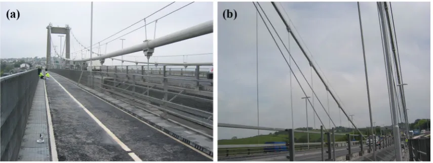 Fig. 4  Main (a) and stay cables (b) of the Tamar bridge