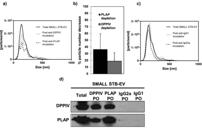 Figure 3. DPPIV and PLAP co-expression in SMALL STB-EVs.