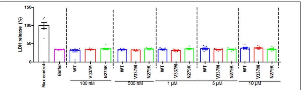 FIGURE 9 | Internalized tau K18 oligomers do not induce LDH-dependent cytotoxicity in SH-SY5Y cells