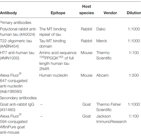TABLE 1 | Antibodies used in this study.