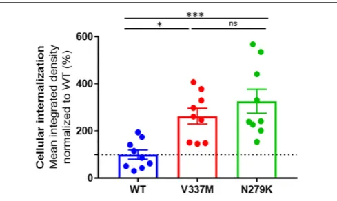 FIGURE 5 | Distinct internalization of K18-WT, K18-V337M, and K18-N279Koligomers in SH-SY5Y neuroblastoma cells