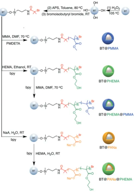 Fig. 12Synthesis of functionalized BaTiO3 nanoparticles using ‘‘grafting from’’ strategy