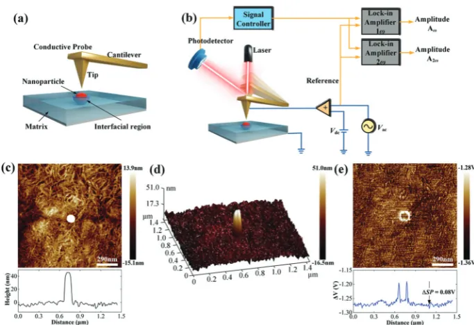 Fig. 20(a) The multi-core model for polymer nanocomposites, (b)charge distribution of a diﬀuse electrical double layer.