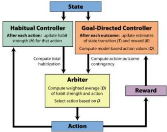 Figure 2: Schematic description of the model components and their interactions. See main text for details