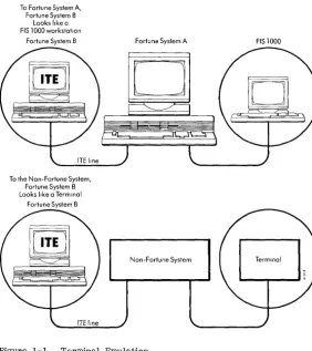 Figure 1-1. Terminal Emulation 