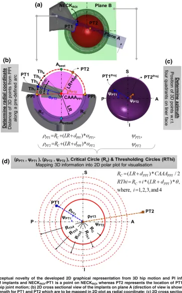 FIGURE 1.Conceptual novelty of the developed 2D graphical representation from 3D hip motion and PI information