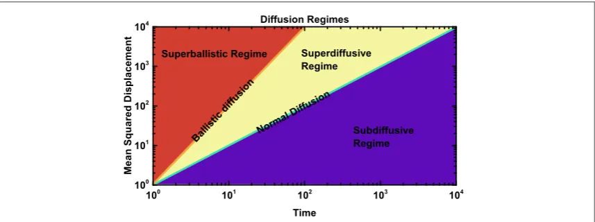 Figure 1. Anomalous diffusion regimes as characterised by the power-law scaling with time of the mean squared displacementνthe MSD grows asdiffusion, corresponding toFor normal diffusion the MSD grows linearly with time