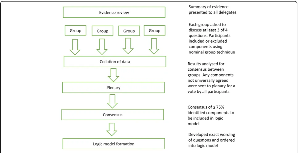 Fig. 1 Overview of the consensus process