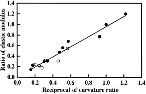 Fig. 8. Relation between the dynamic MOE and the curvature of theﬂexural vibration wave shape at the ﬁrst mode