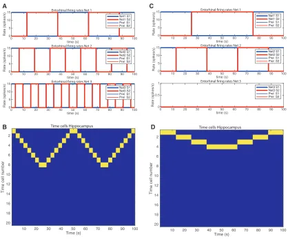 Figure 4. Simulations to Show How Replay and Reverse Replay Can Be Generated(A) Simulated square waves for the lateral entorhinal cortex for nets 1–3, with frequencies of 2 for net 1, 4 for net 2, and 8 for net 3.(B) The hippocampal neurons produced by the