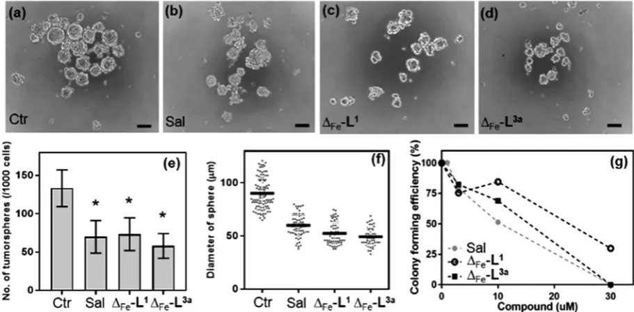 Fig. 9Growth inhibitory ein the absence (a) and presence of salinomycin (b),bar: 100showing the colony forming eafter treatment with difor 48 h, following growth for 8 days