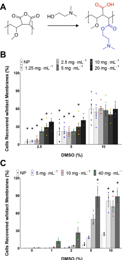 Figure 5. (A) Synthesis and application of a polyampholyte derivedanhydride). (B) Suspension cryopreservation of A549 cells using thepolyampholyte showing total cells recovered