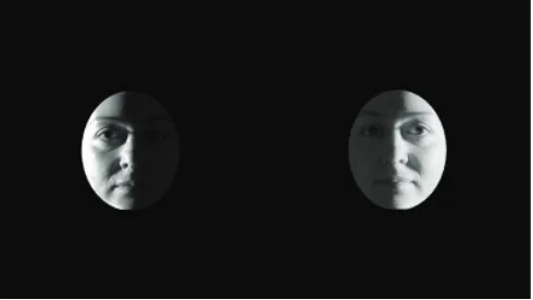 Fig. 3.Example of the stimuli proposed in theStimulus: HDR vs LDR experiment. different lighting, LDR vs HDR (mix)