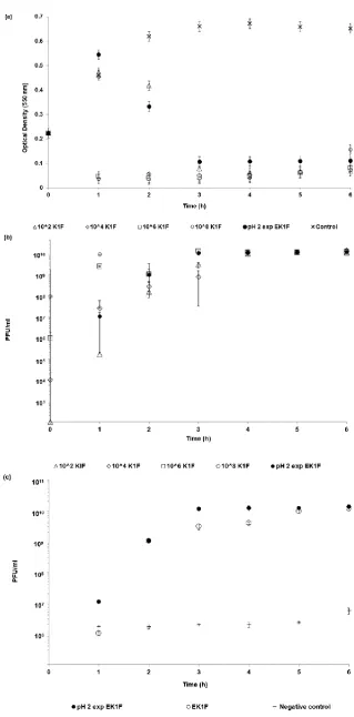 Figure 7. Dynamics of phage killing of E. coli strain EV36 bacteria with K1F bacteriophages: (a) Optical density curves showing bacteria killing in the presence of different concentrations of added phage, (b) phage amplification in the presence of E