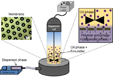 Figure 1. Schematic representation of the membrane emulsification system used for microencapsulation of bacteriophages