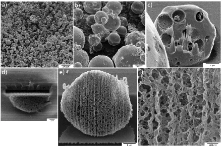 Figure 3. HIM images of freeze-dried and CPD-dried microcapsules: (a) Freeze-dried sample with a 1-mm field of view and (b) with higher magnification, and (c) a microcapsule having a particle size of about 10 µm was cut in half using a Ne+ beam and, after 