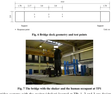 Fig. 7 The bridge with the shaker and the human occupant at TP1 
