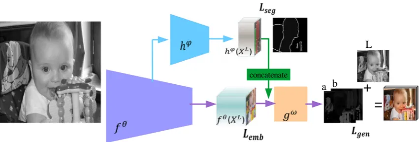 Fig. 2 Pixelated semantic colorization. The three colored ﬂows(arrows) represent three variations of our proposal